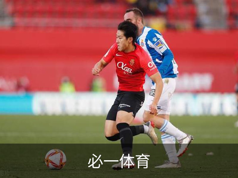 必一体育介绍